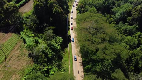 Autos-Que-Pasan-Por-Una-Carretera,-En-Un-Lado-Hay-árboles,-Arriba,-Auto,-Destino,-Bosque,-Vista-Aérea,-Verde,-Paisaje,-Medio-Ambiente,-Naturaleza,-Campo,-Cinemática,-Camino,-Rural,-árboles,-Autopista,-Tráfico