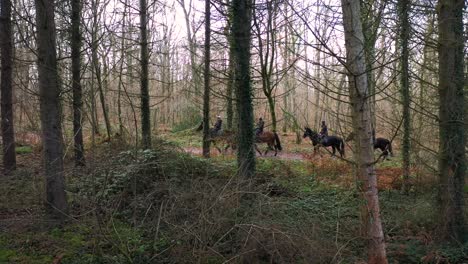 people riding horses in a forest in normandy