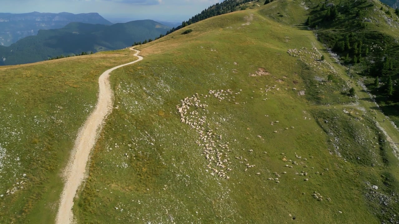 Aerial view of a winding mountain trail and grassy slopes on Monte Baldo in summer