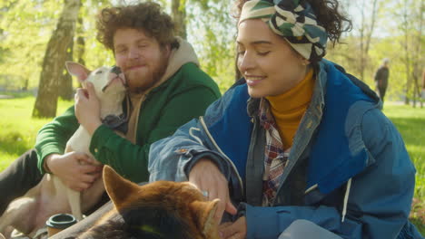 friends enjoying a sunny day in the park with their dogs