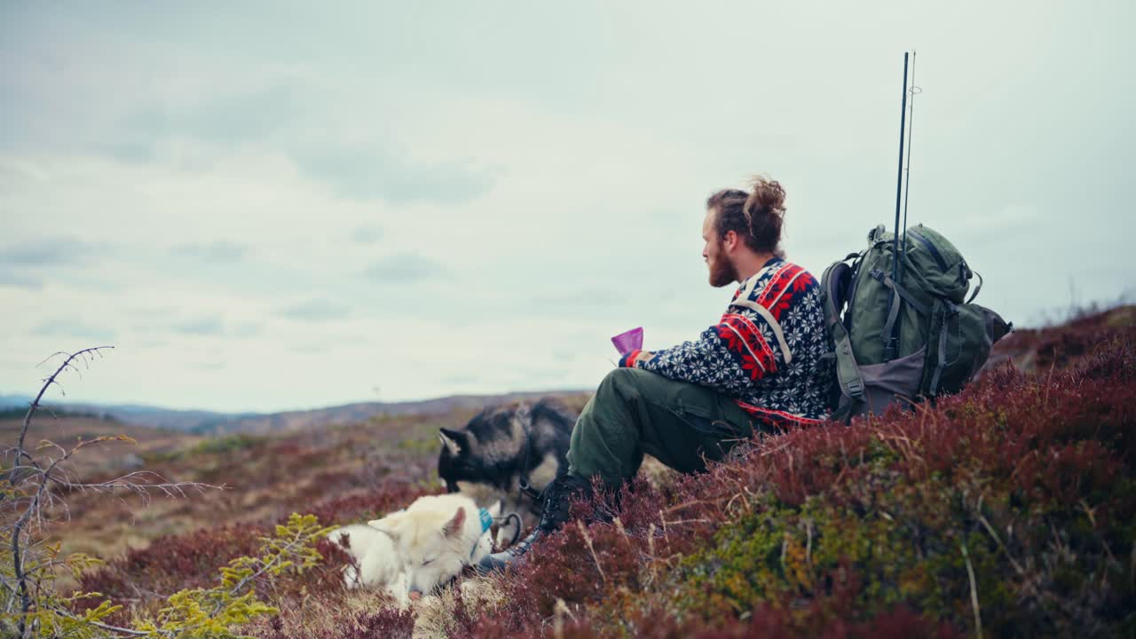 A Hiker With His Dogs Resting On The Grass Over Mountain Trails. Static Shot
