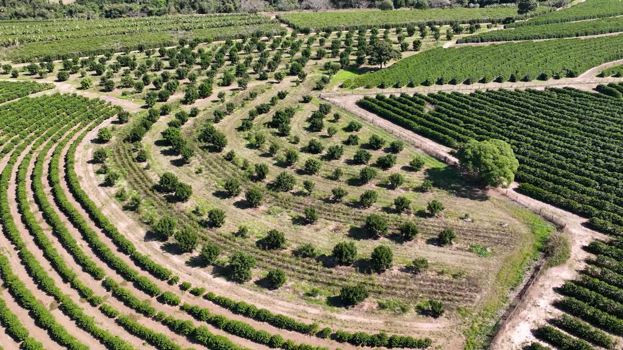 paisaje de la vida rural
