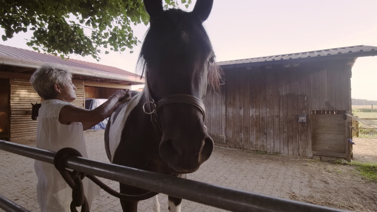 Journey into the scene of an elderly woman tending to her horse in the yard