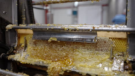 vax removal honey production factory