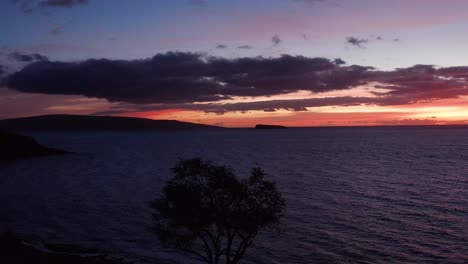 low panning aerial shot towards a tree silhouetted against the sky with kaho'olawe and molokini crater in the distance on the hawaiian island of maui