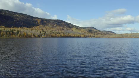 a close to the water which slowly ascends moving aerial drone shot of seymour lake in the smithers, northern british columbia area during the autumn months