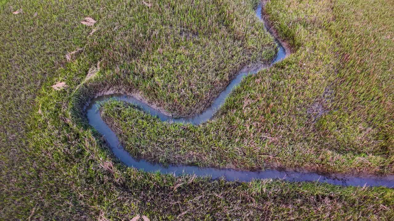 Aerial drone view shows a narrow creek winding like a snake through vibrant marsh grasses in the South Carolina wetlands