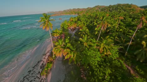 FPV-Drohnenflug-über-Goldleuchtende-Palmen,-Strand-Und-Karibisches-Meer-Während-Der-Goldenen-Stunde-–-Playa-Rincon,-Dominikanische-Republik