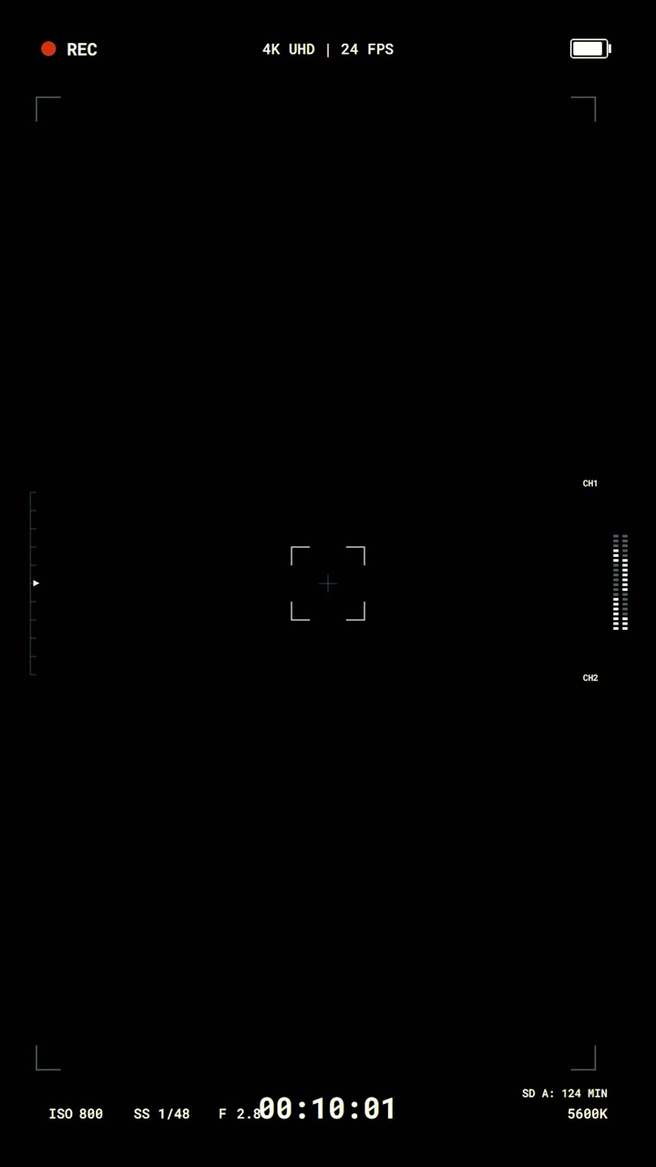 Digital Camera Viewfinder Interface Overlay