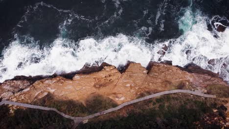 sydney australia bouddi beach drone birdseye pan left in