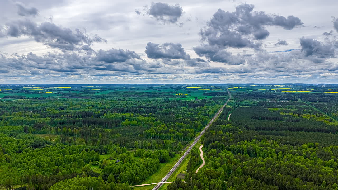 Endless Road Through Evergreen Dense Thicket. Timelapse