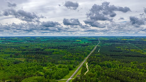 endless road through evergreen dense thicket. timelapse