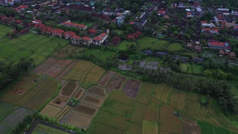 Drone-Footage-of-Ubud-in-Bali,-a-serene-tourist-destination-for-city-dwellers-to-retreat-and-escape-from-the-hustle-and-bustle-of-the-city