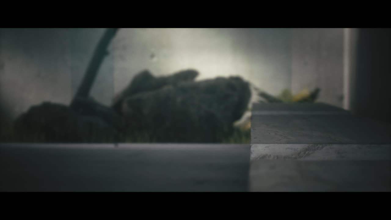 Dark Gray Concrete Step with Blurred Background