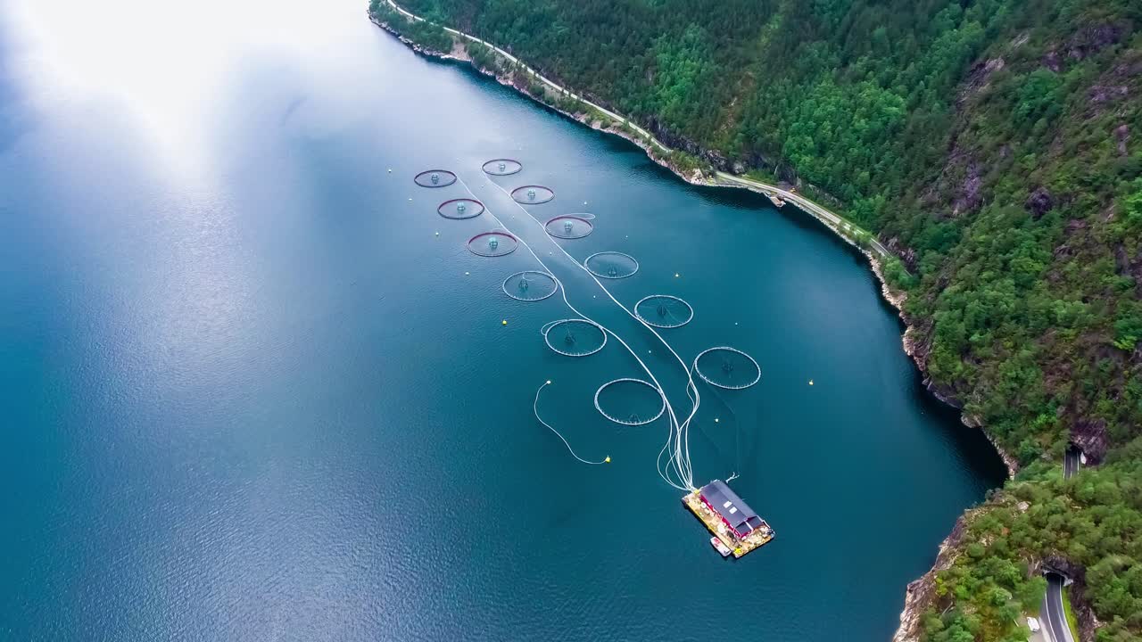 воздушные кадры рыболовства лосося на ферме в норвегии