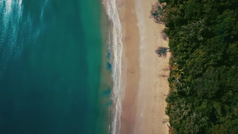 Daintree-Rainforest-tropical-beach-at-Cape-Tribulation-Australia