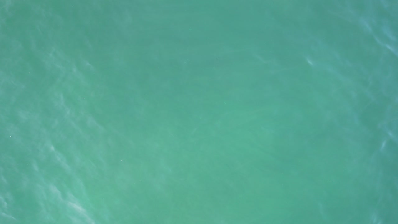 밝은 색의 바다