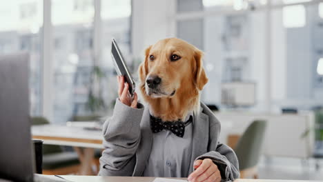 dog dressed in a suit in an office