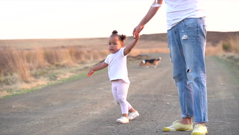 daughter and mother walking on dirt road while daughter is pulling on mothers hand and a corgi in the background