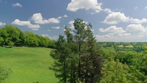 aerial tracking past hedgerow trees with a gap revealing a glorious green field with the devon landscape in the background