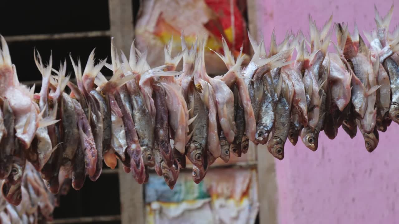 Small Fish's hanging on rope for drying in background window at vizag colony, azmapur, Telangana, india. day time, pan shot, 4k.