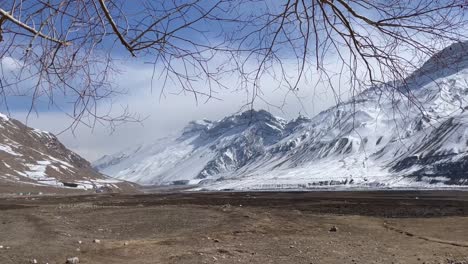 cold desert mountains with leafless tree branches on spiti valley in himachal pradesh, india