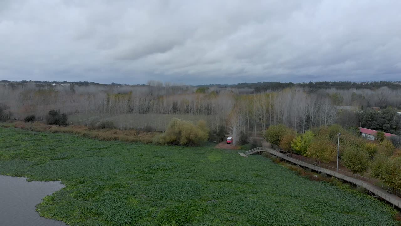 가을 흐린 날에 물 히아신스로 가득한 멋진 호수 랜드케이프의 공중 전망