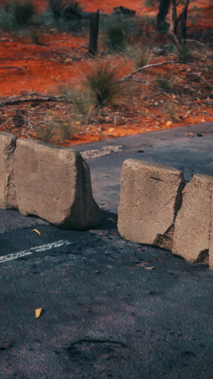 산불로 손상된 도로