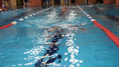 swimming competition in an indoor pool