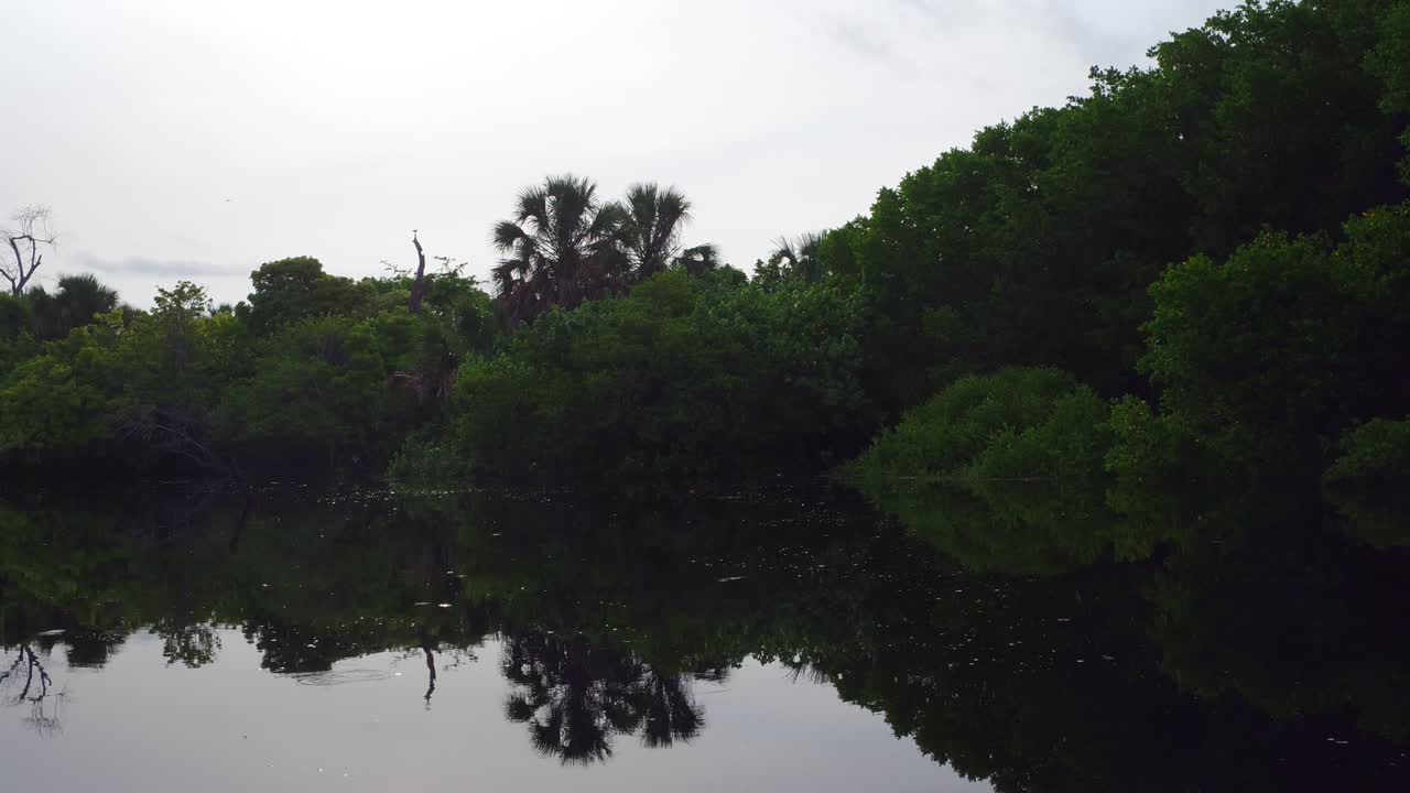 La Ventanilla, Oaxaca mangrovlarının tekneden çekilmiş görüntüsü