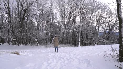 panning view of caucasian girl walking in snow covered forest, slomo