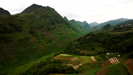 breathtaking views of lush valleys and rice terraces in the ha giang loop, ha giang province, vietnam