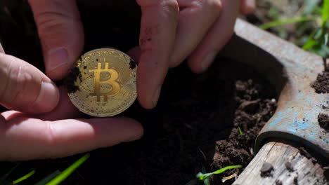 close-up shot of a golden bitcoin being revealed from the dirt