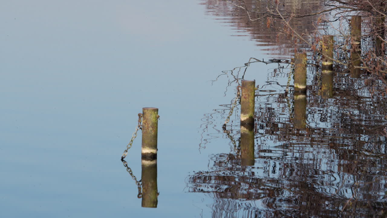 Wide shot of six posts in the still water of Rollesby Broad taken from the A149 at Ormesby St Margaret