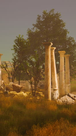 ancient ruins in a peaceful landscape