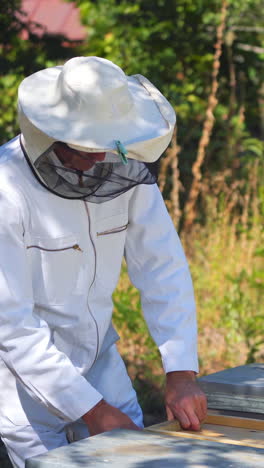 beekeeper is working with bees and beehives on the apiary. beekeeper on apiary. vertical video