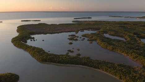 Tropische-Regenwald-Flussdelta-Feuchtgebiete,-Die-In-Der-Abenddämmerung-Ins-Meer-Fließen