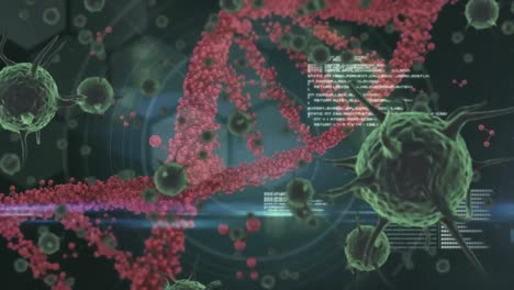 animación de la cadena de adn, células de covid-19 y procesamiento de datos.