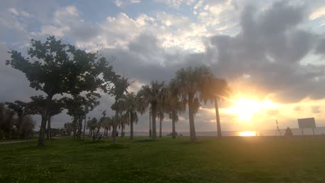 time lapse of palm trees and clouds moving in different directions