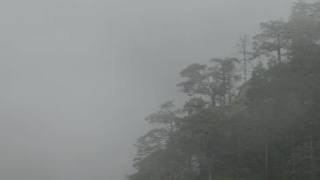 rainy day in alpine valley with low clouds, logarska dolina, slovenia, clouds and fog slowly moving behind trees, unpredictable mountain weather, danger for hikers and climbers, hd, time lapse