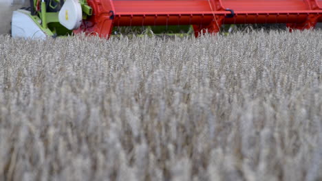 combine harvester in wheat field