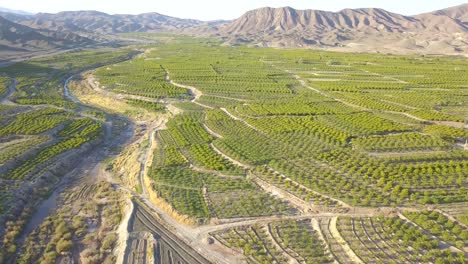 Flying-above-the-farms-in-the-spring