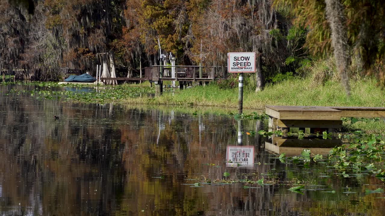 A wooden dock sits beside calm water marked by a slow speed minimum wake sign. Autumn reflections, lily pads, and shoreline greenery frame a peaceful scene in a Tampa-area neighborhood waterway
