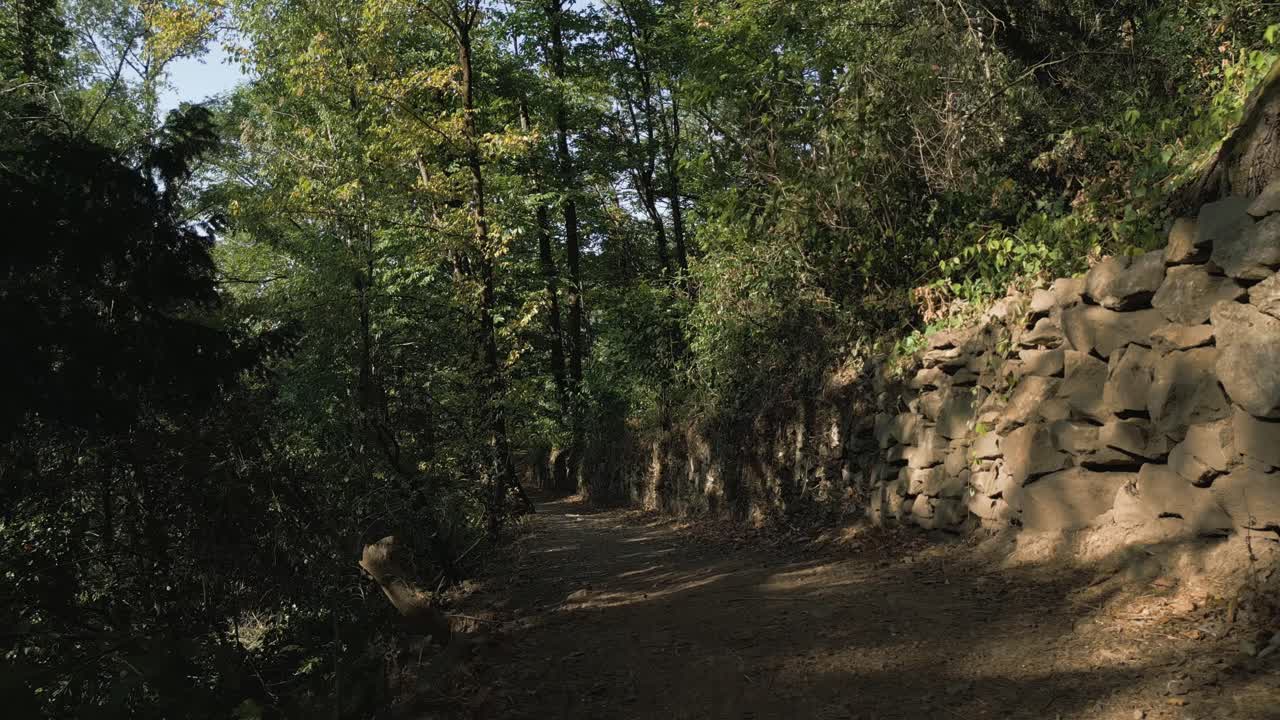 A peaceful summer walk along a shaded dirt path in a French forest. Sunlight filters through lush green trees and highlights a rustic stone retaining wall along the hillside