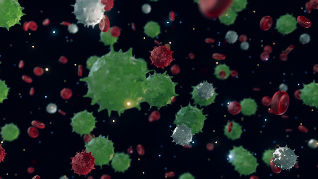 혈액 세포 유형