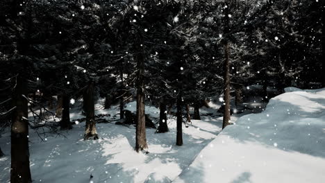 snowy winter forest