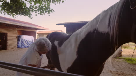 Descubre-Los-Tiernos-Momentos-De-Una-Anciana-Cuidando-Su-Caballo-En-El-Tranquilo-Patio