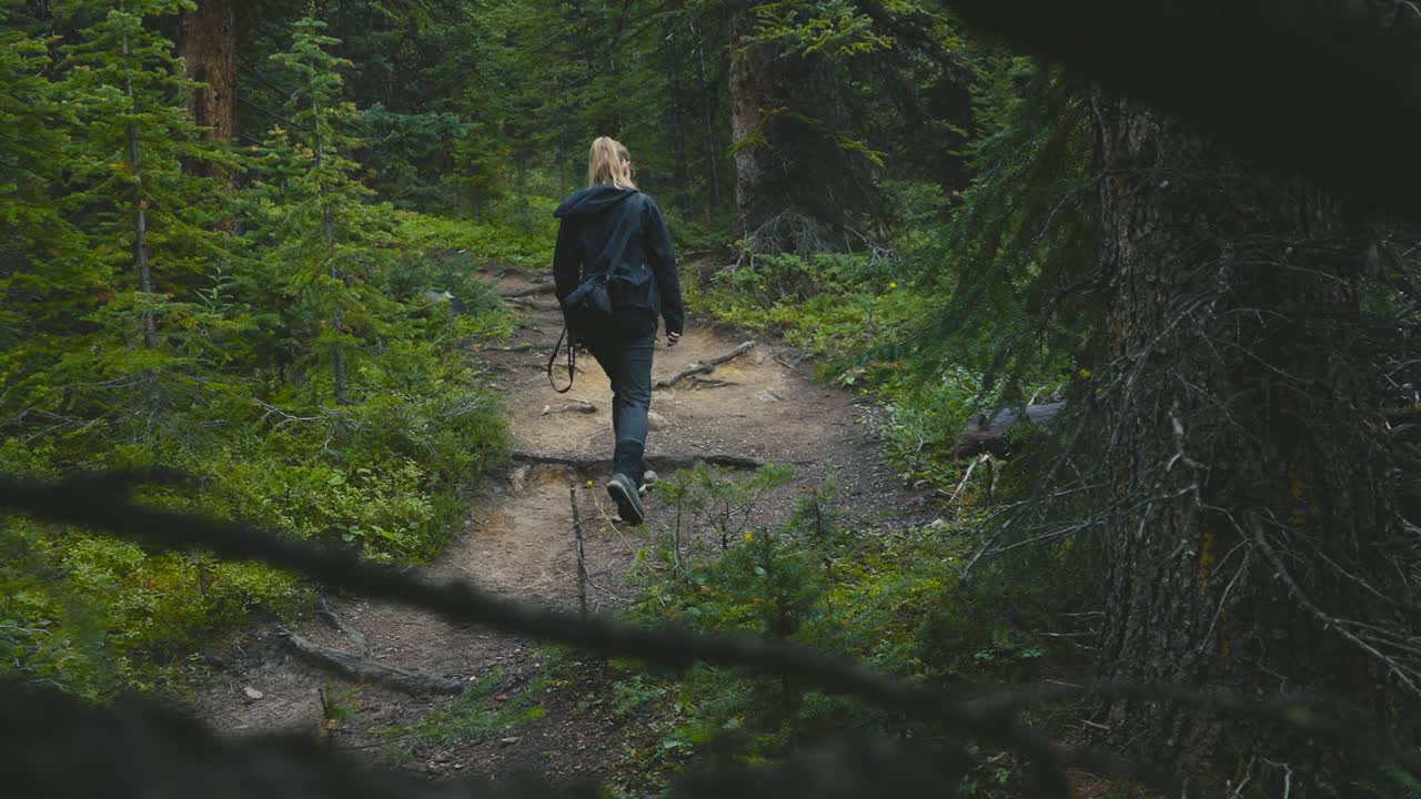 Naiset patikoivat Kanadan Banffin kansallispuiston metsissä Helen Lake -reitillä.