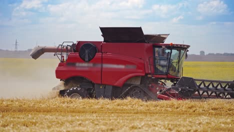 side view of red combine harvester in the farmland. process of seasonal works in the field by modern harvester in summer. agricultural concept.