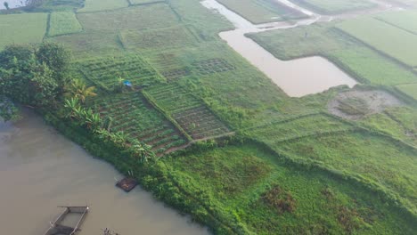 aerial view of rice paddy fields and farmlands